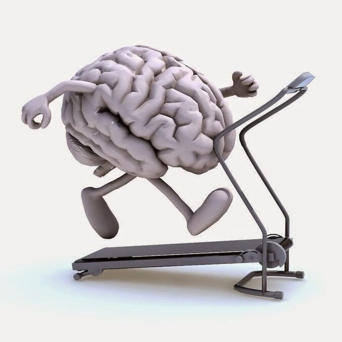Necesitas una buena nutrición para desarrollar el cerebro